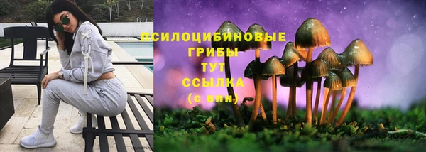 mdpv Бородино