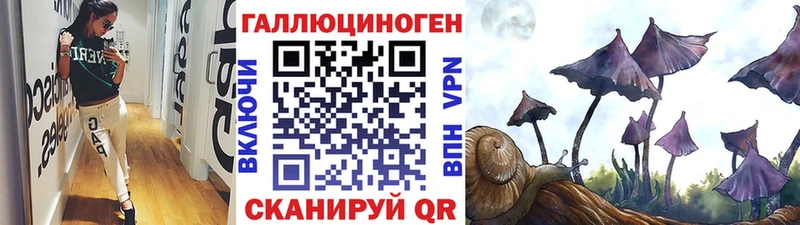 Галлюциногенные грибы Cubensis  Купить  Болгар 